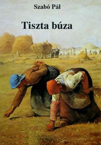 tiszta buza.jpg