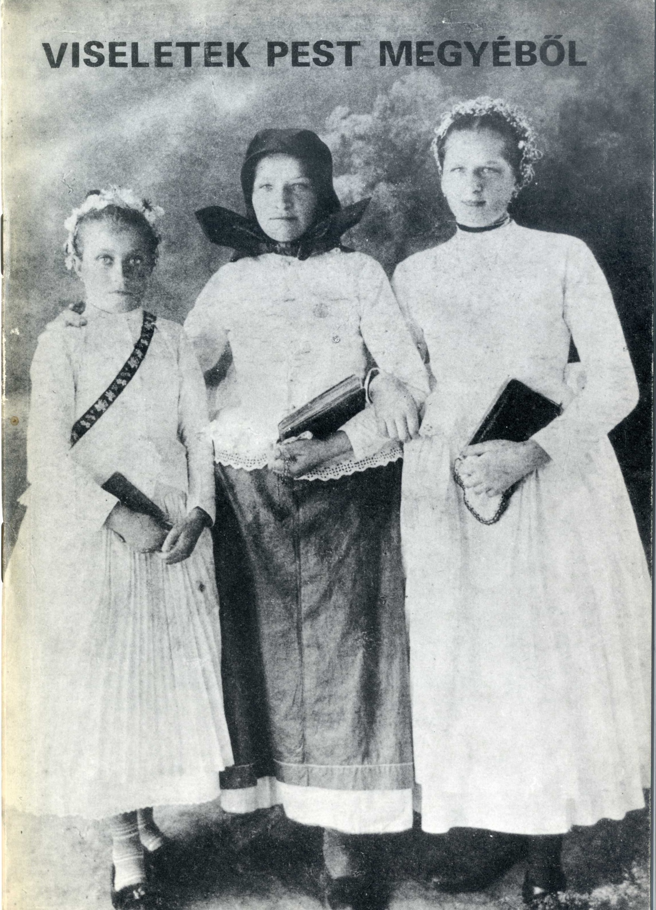 viseletek pest megyebol_0.jpg